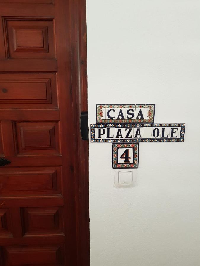 Lejlighed Casaplazaole